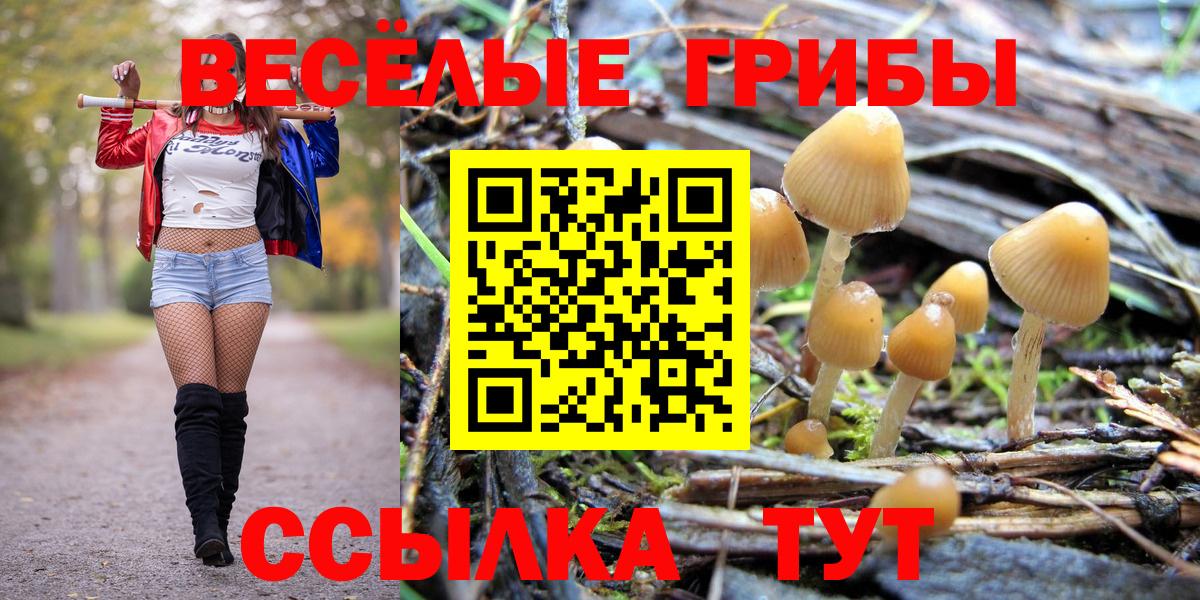 Галлюциногенные грибы Cubensis Саратов