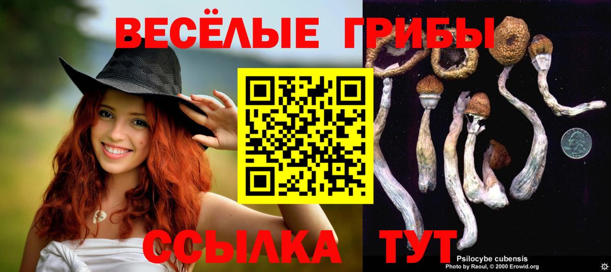 Псилоцибиновые грибы мухоморы  Галлюциногенные грибы Magic Shrooms  Саратов  Вход с VPN 
